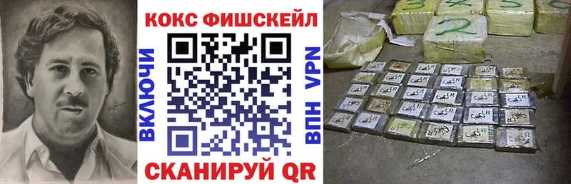 kraken ONION  купить наркотик  Бердск  Cocaine Fish Scale 