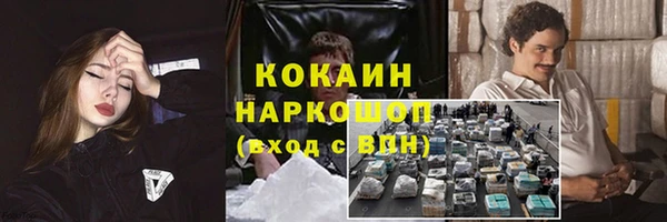 спиды Алзамай