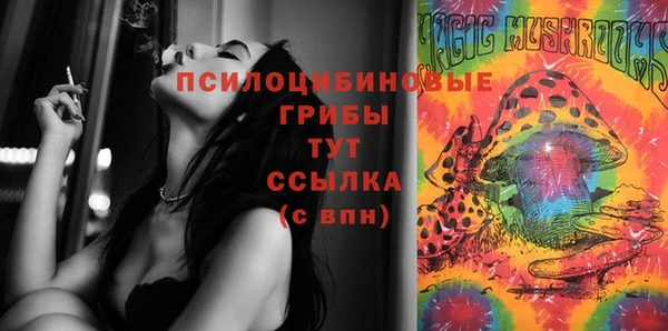 стафф Алексеевка