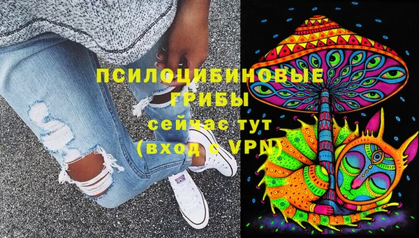 спиды Алзамай