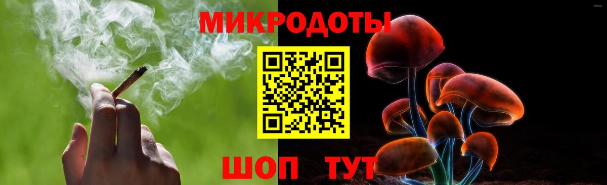 Псилоцибиновые грибы мухоморы  Вход с VPN  Бердск  Псилоцибиновые грибы Psilocybe 